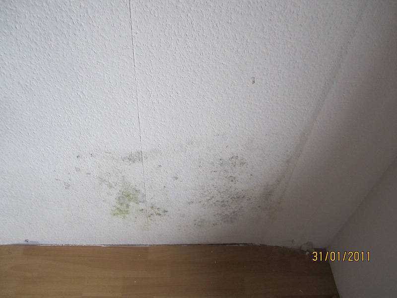 NBG - Bauwerksabdichtung, Keller- Wand- und Schimmelsanierung. Schluss